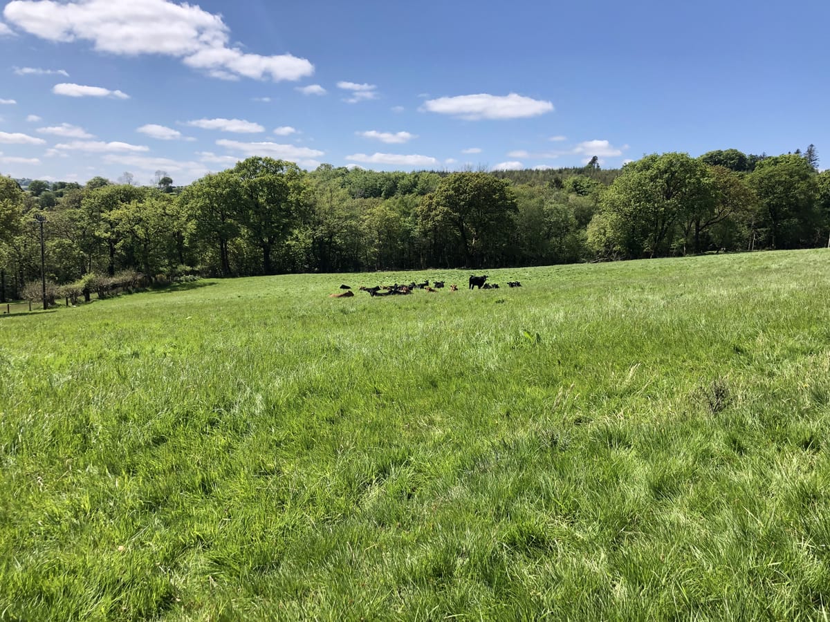 Quick Note: New Friends Enjoying the Sun